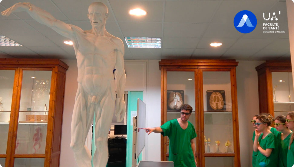 Docteur Florian Bernard cours d'anatomie AKIVI